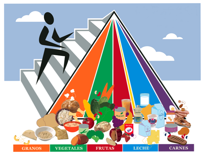 Пищевая пирамида, как правильно питаться?