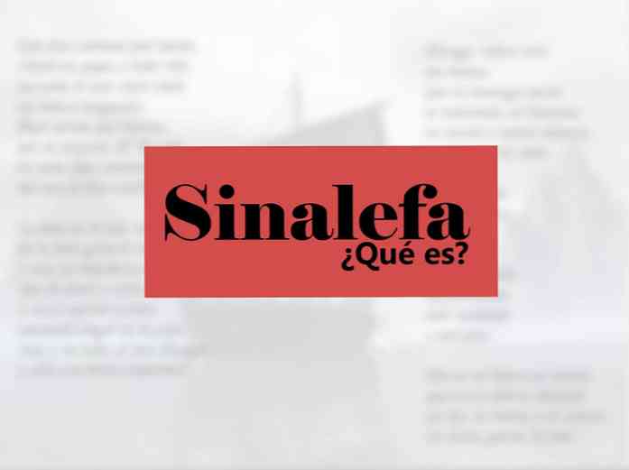 Sinalefa 45 Примеры и характеристики