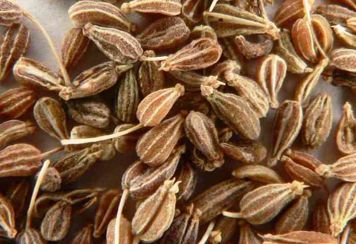 11 Manfaat Kebaikan Anise untuk Kesihatan (dengan Resipi)