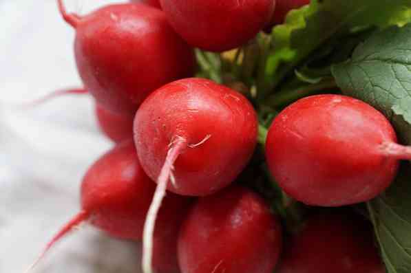 21 værdifulde egenskaber af Radish for Health