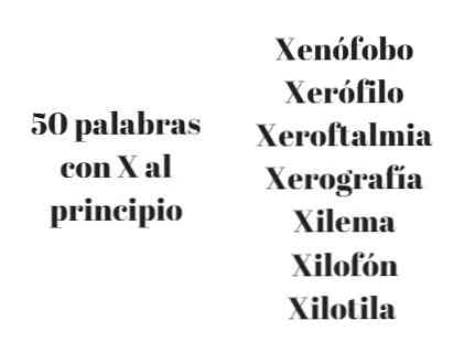 先頭にXが付いている50の単語（スペイン語）