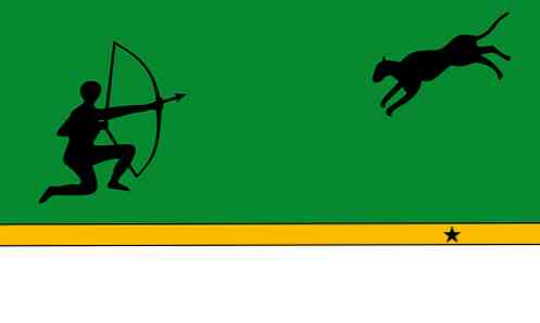 Flag af Amazonas (Colombia) historie og mening