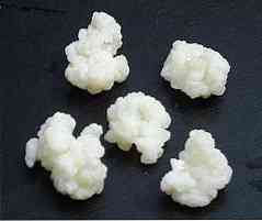 ประโยชน์และคุณสมบัติของ Tibicos (Kefir)