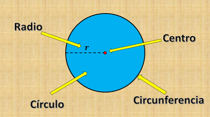 cuntos ejes de simetra tiene un crculo