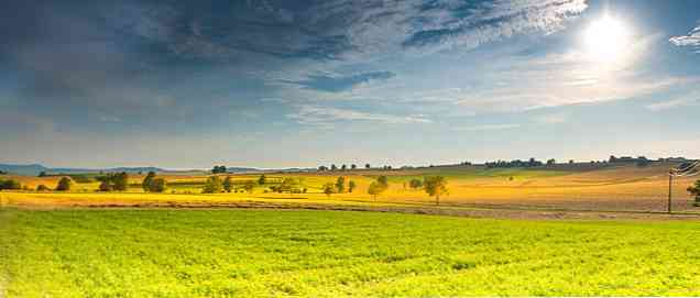 Flora en Fauna of the Prairies Relevante kenmerken