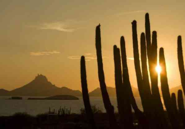 Sonoran tärkeimpien ominaisuuksien historia