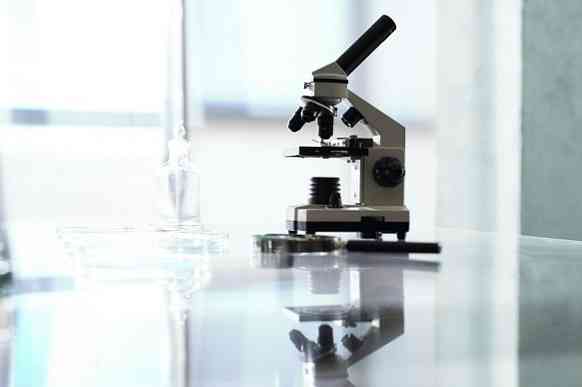 Mikroskopo svarba moksle ir žmonijai