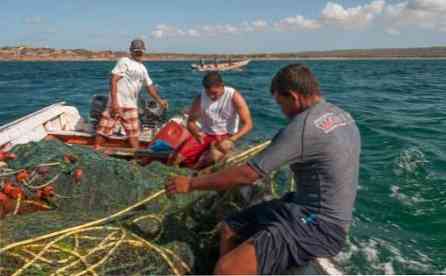 De 7 viktigste venezuelanske fiskezonene