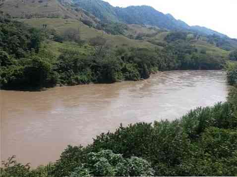 Sungai 3 Wilayah Pasifik Paling Penting di Colombia