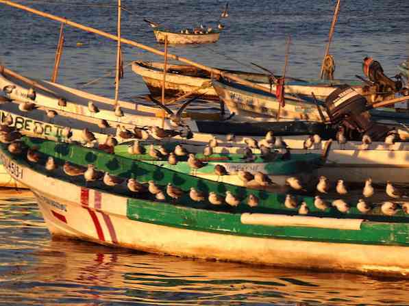 Campeche'nin En Önemli 4 Doğal Kaynağı