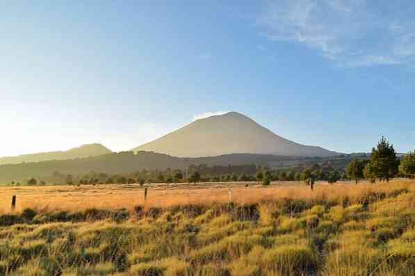 5 Ekosistem Terrestrial Main Mexico Utara