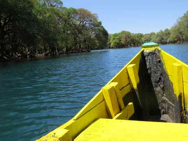 De 5 mest relevante naturressourcer i Michoacán