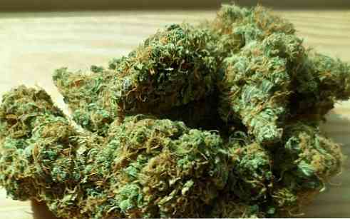 Syntetisk Marijuana (Spice) Sammensetning og Effekter