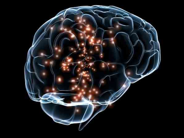 Cognitieve neurowetenschappen geschiedenis, studiegebieden en toepassingen
