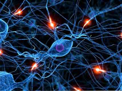 Ciri-ciri Neuron Dopaminergik, Fungsi dan Jalan