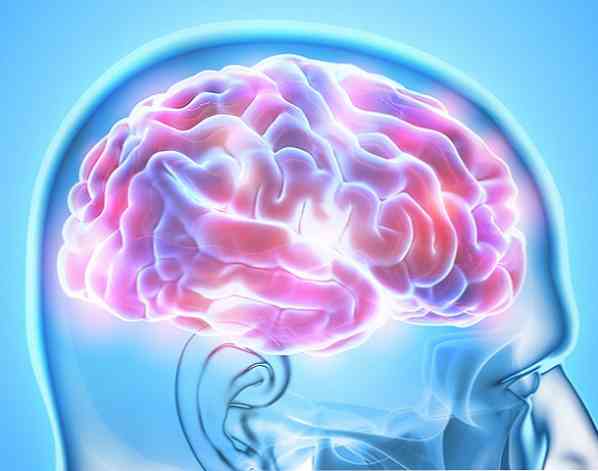הגדרת נוירופסיכולוגיה, היסטוריה ומאפיינים