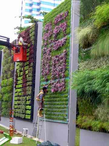 Apa Melayani Kebun Sayuran Vertikal? 6 Penggunaan