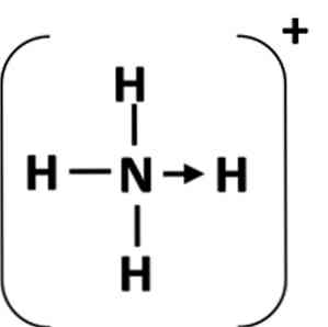 Ikatan antara boron trifluorida dengan amonia merupakan ikatan kovalen boron