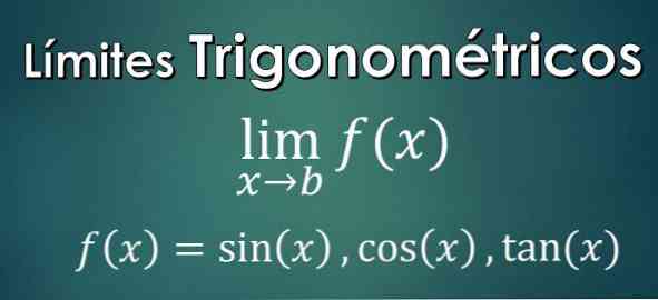 Apa itu Batas Trigonometrik? (dengan Latihan yang Diselesaikan)