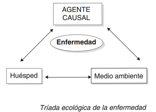 Definisi dan Komponen Triad Ekologi
