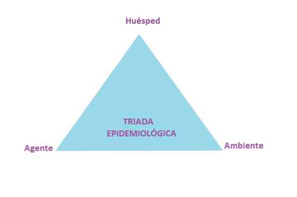 Epidemiológiai triád meghatározás és összetevők
