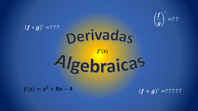 Algebraiska derivat (med exempel)