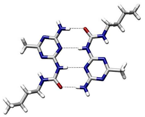 Link ved Hydrogen Bridge Egenskaber, Link i vand og i DNA