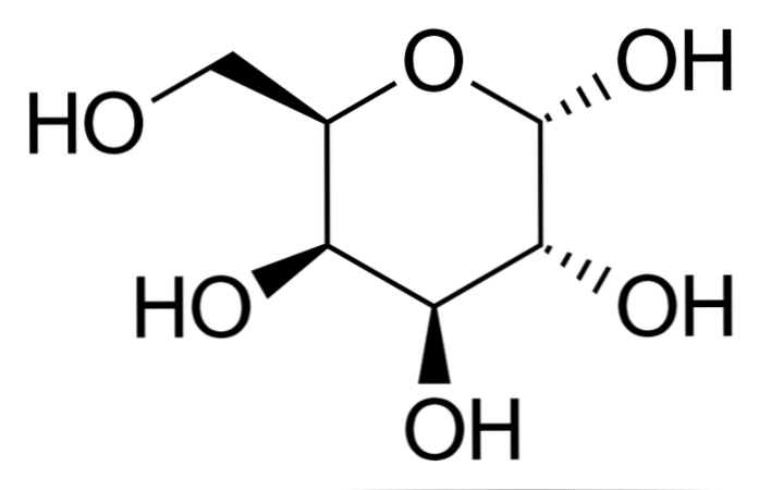 Galactose Struktur, Funktioner, Metabolisme og Patologier