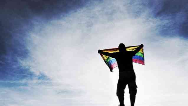Typer, data och följder homofobi
