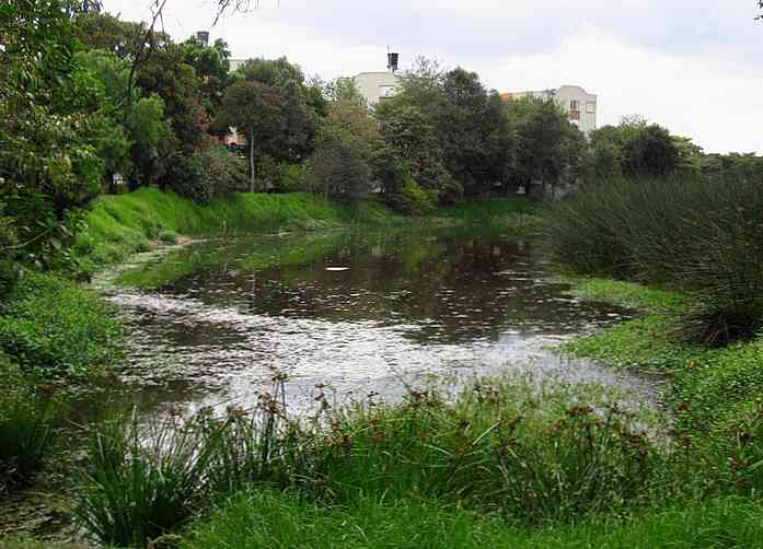 Močvarno područje Juan Amarillo Povijest, obilježja, flora i fauna