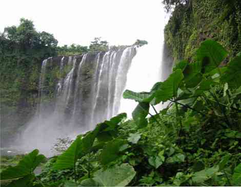 De 7 naturområder i Veracruz og deres egenskaber