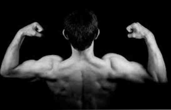 Skulder muskler og deres funktioner