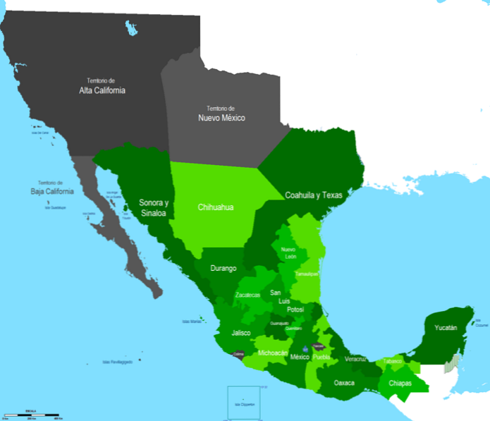 第1連邦共和国（メキシコ）の原因、特徴