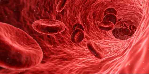 Mikä on täydellinen hematologia?