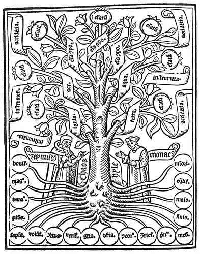 ต้นไม้ Porfirio ในสิ่งที่มันประกอบด้วยสิ่งที่มันทำหน้าที่และตัวอย่าง