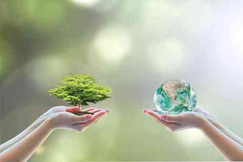 Szellemi fenntarthatósági jellemzők, tengelyek és példák