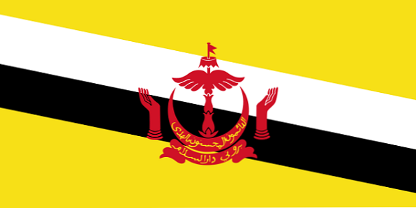 Quốc kỳ Brunei đầy quý phái với những gam màu tựa như kim cương sáng lấp lánh trên nền xanh lục. Hãy tận hưởng vẻ đẹp của quốc kỳ Brunei trong hình ảnh để cảm nhận sự kiêu sa và uy nghiêm của đất nước này.