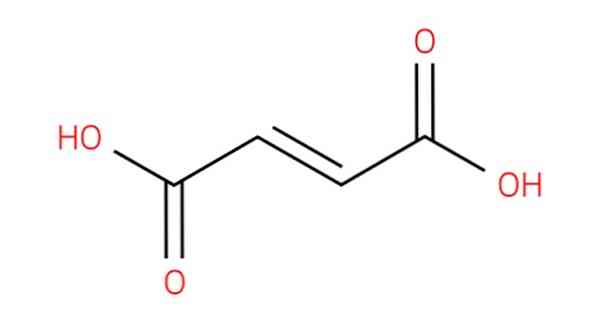 Fumarsyrestruktur, egenskaber, anvendelser og risici