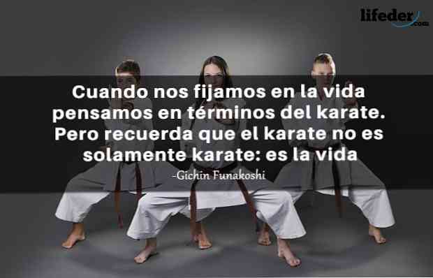 50 najboljših stavkov o karateju / Drugi stavki | Thpanorama - Bodi boljši  danes!