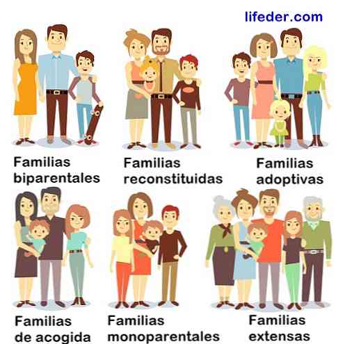 Obstaja 9 vrst družin in njihovih značilnosti