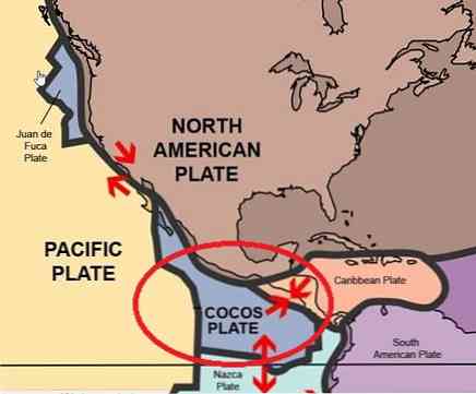 Cocos plokštės vieta ir bendrosios charakteristikos