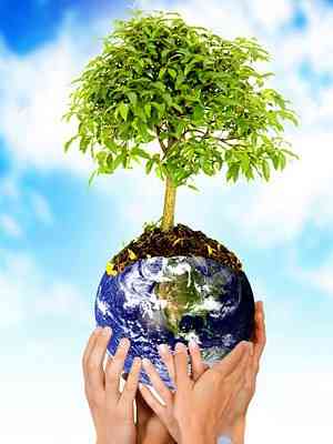 البروتوكولات البيئية في شكلها والبروتوكولات الدولية الرئيسية