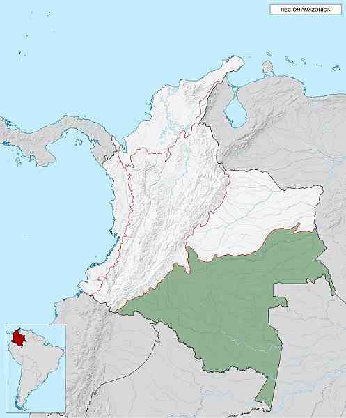 Značajke regije Amazon, lokacija, klima, hidrografija