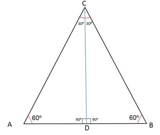 المثلث المتطابق الأضلاع هو مثلث متطابق الضلعين أيضاً