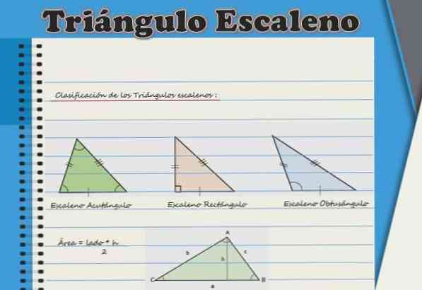 Skala trekant funktioner, formel og områder, beregning