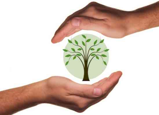 Ökoloogilise väärtusega kaubad ja teenused, vastuolud ja tähtsus