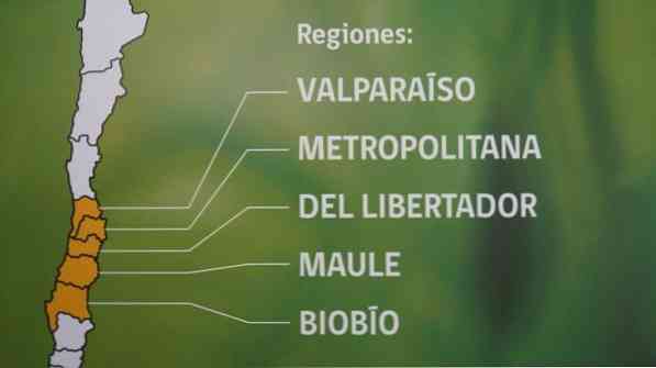 Centrální oblast Chile Podnebí, flóra, fauna, zdroje a ekonomika