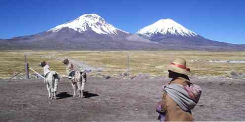 Severní oblast Chile Podnebí, flóra, fauna a zdroje