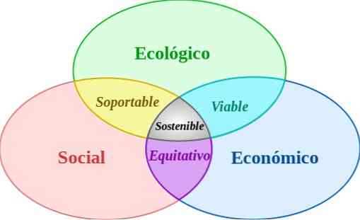 5 Стратегии за устойчивост на икономическия сценарий