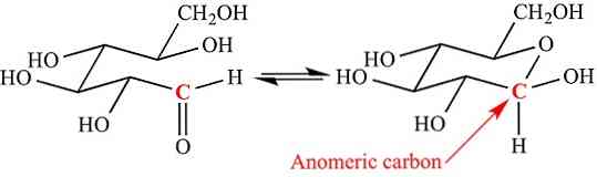 Anomeriske carbonegenskaber og eksempler